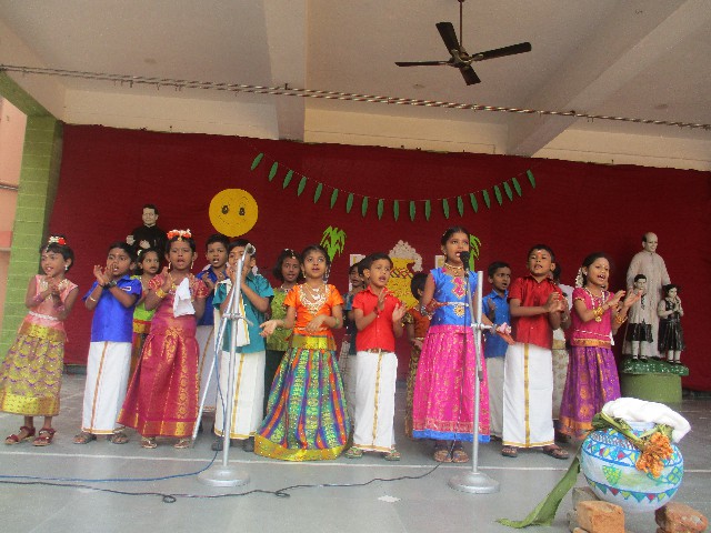 pongal Celebration